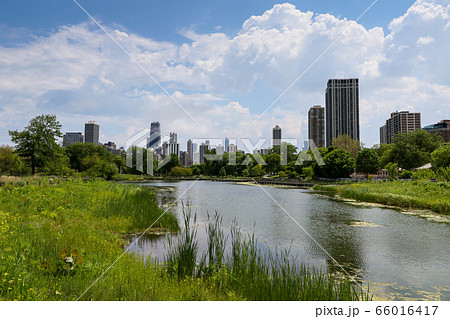 アメリカ合衆国 イリノイ州 シカゴ リンカーン公園 アメリカ合衆国 イリノイ州 シカゴ リンカーン公園 66016417