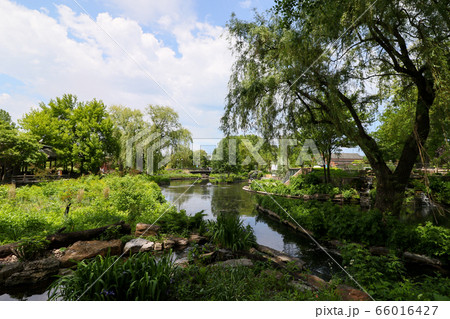 アメリカ合衆国 イリノイ州 シカゴ リンカーン公園 アメリカ合衆国 イリノイ州 シカゴ リンカーン公園 66016427