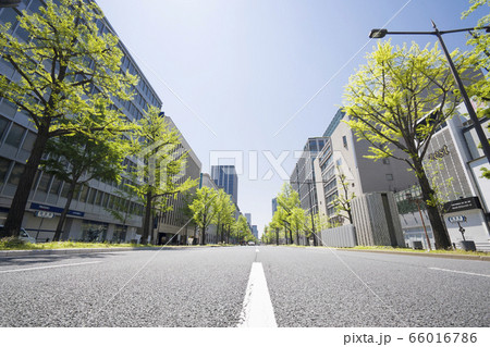 新御堂筋 66016786