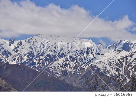 白沢峠からの冠雪の北アルプス 66016968