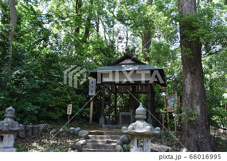 平塚八幡宮 太子堂 神社 平塚八幡宮 太子堂 神社 66016995