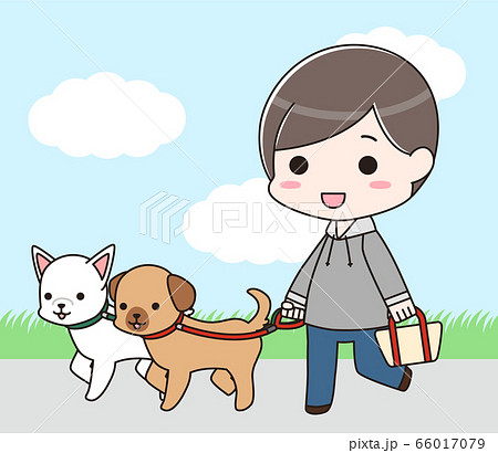 犬の散歩をする男性（多頭飼い・背景付き） 66017079