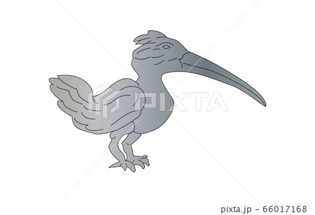 88星座線なしきょしちょう座 66017168