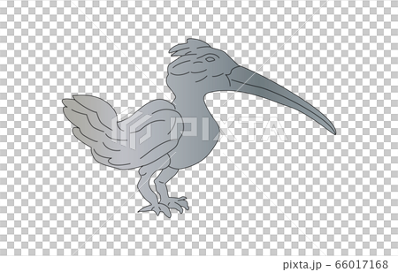 88星座線なしきょしちょう座 66017168