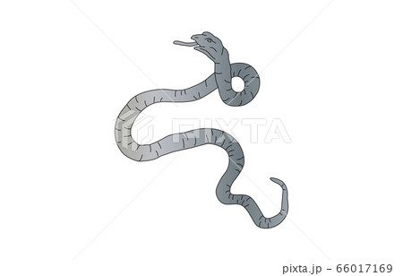 88星座線なしみずへび座 88星座線なしみずへび座 66017169