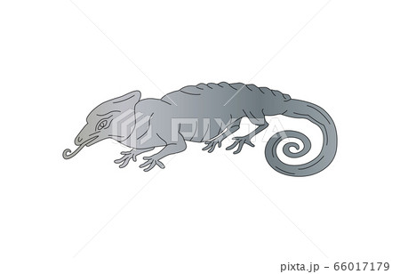 88星座線なしカメレオン座 66017179