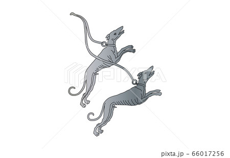 88星座線なしりょうけん座 66017256