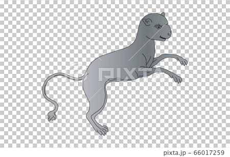 88星座線なしやまねこ座 66017259