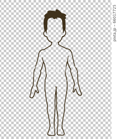 Illustration of male human body Line drawing Front standard body type Illustration of male human body Line drawing Front standard body type 66017725