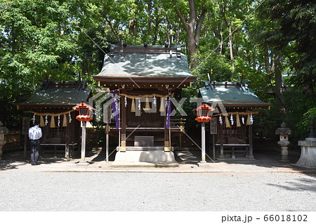 平塚八幡宮　末社三社　神奈川県 66018102