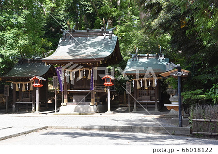 平塚八幡宮　末社三社　神奈川県 66018122