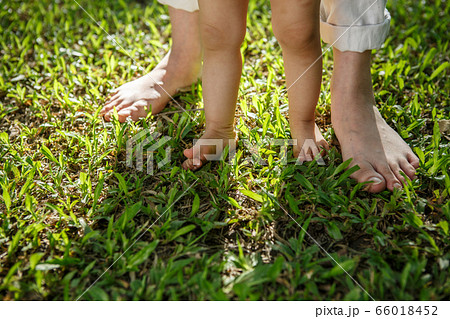 Closeup portrait of a mother teaching baby to walk Closeup portrait of a mother teaching baby to walk 66018452