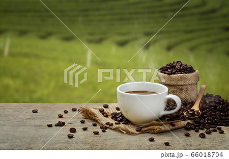 Hot Coffee cup with Coffee beans on the wooden table and the plantations background Hot Coffee cup with Coffee beans on the wooden table and the plantations background 66018704