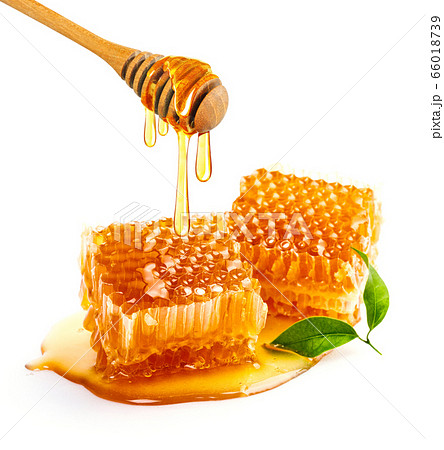 Sweet honeycomb and wooden Honey dripping isolated on a white background. Honey dipper Sweet honeycomb and wooden Honey dripping isolated on a white background. Honey dipper 66018739
