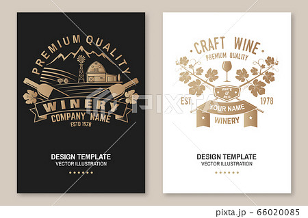 Winery company poster, flyer, template, card....のイラスト素材