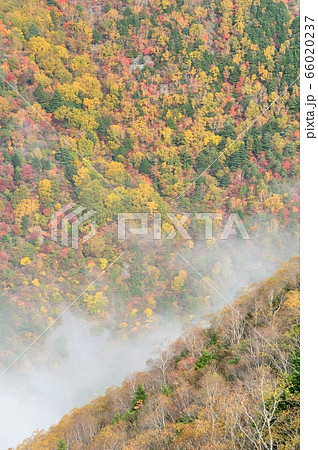 紅葉の美ヶ原高原の写真素材