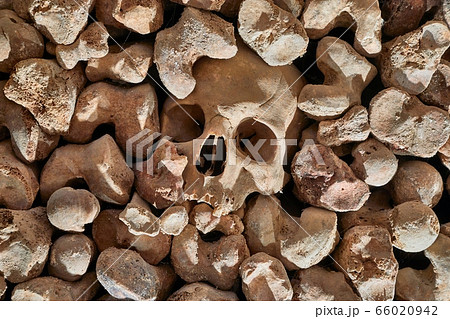 Skulls and bones in a wall 66020942