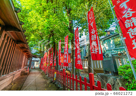 東京の都市風景 上野 下谷神社 66021272