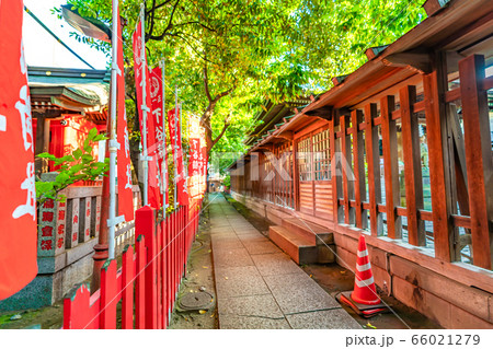 東京の都市風景 上野 下谷神社 66021279