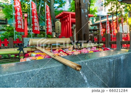 東京の都市風景 上野 下谷神社 66021284