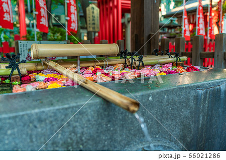 東京の都市風景 上野 下谷神社 66021286