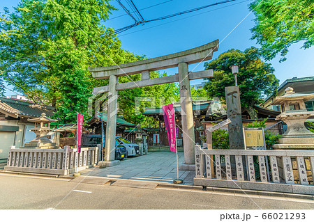 東京の都市風景 上野 下谷神社 東京の都市風景 上野 下谷神社 66021293
