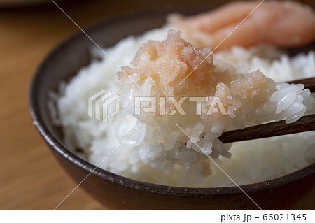 たらこと白いご飯 たらこと白いご飯 66021345