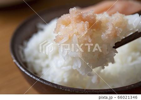 たらこと白いご飯 たらこと白いご飯 66021346