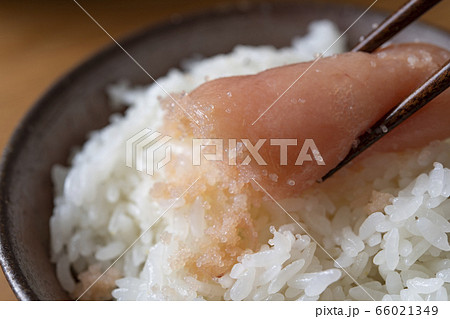 たらこと白いご飯 たらこと白いご飯 66021349