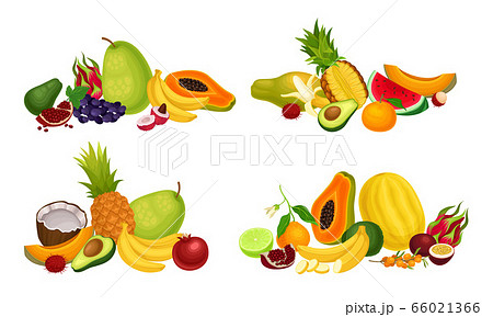 Exotic Fruits Composition with Pineapple and Papaya Vector Set 66021366