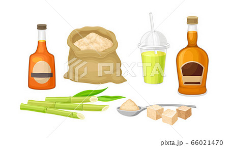 Sugar Cane Unbranched Stems with Leaves and Superfood like Brown Granulated Sugar Vector Set 66021470