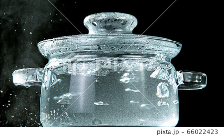 White Steam Ascends from Glass Pot 66022423
