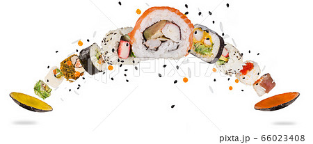 Pieces of delicious japanese sushi frozen in the 66023408