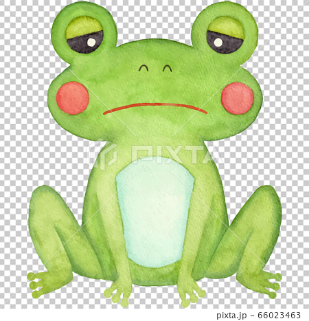 sad frog crying