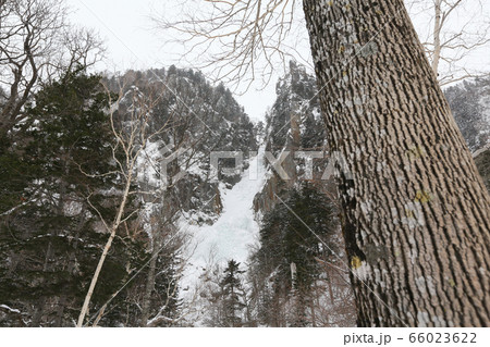 北海道　冬　層雲峡　大雪山国立公園　銀河の滝 66023622