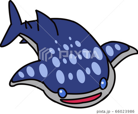 ジンベエザメ 66023986