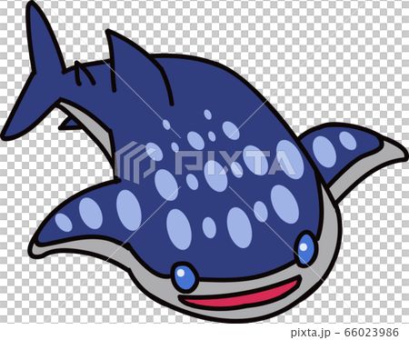 鯨鯊 66023986