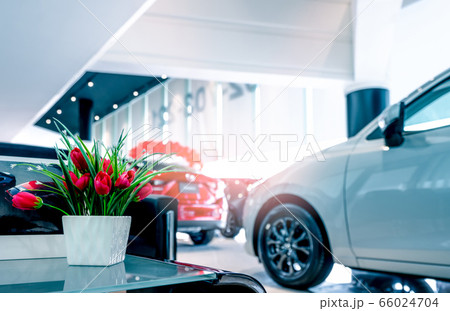 Fake red flowers and car parked in showroom.  66024704