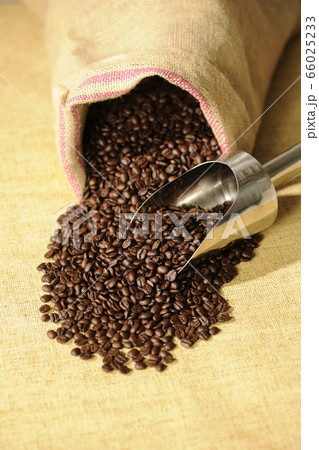 コーヒー コーヒー豆 珈琲 珈琲豆 コーヒー コーヒー豆 珈琲 珈琲豆 66025233