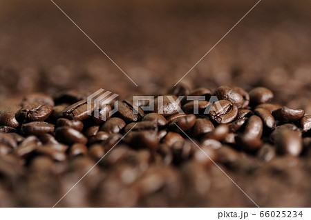 コーヒー コーヒー豆 珈琲 珈琲豆 コーヒー コーヒー豆 珈琲 珈琲豆 66025234