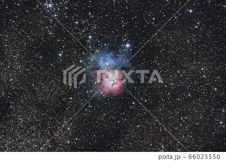 青と赤のコントラストが神秘的な三裂星雲 青と赤のコントラストが神秘的な三裂星雲 66025550