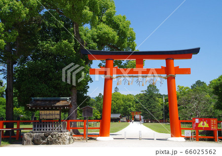 上賀茂神社 上賀茂神社 66025562