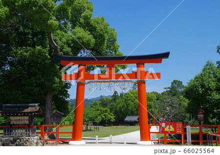 上賀茂神社 上賀茂神社 66025564