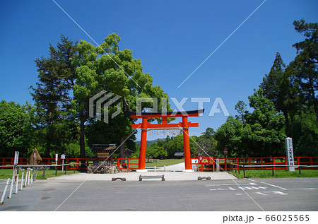 青空に映える朱色の鳥居の上賀茂神社 青空に映える朱色の鳥居の上賀茂神社 66025565