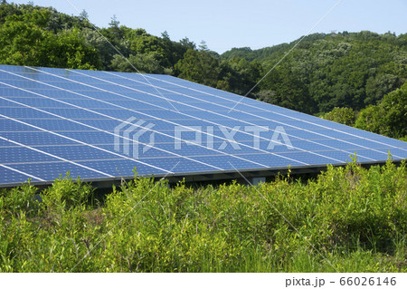 ソーラーパネル 郊外 森 ソーラーパネル 郊外 森 66026146