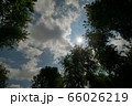 北イタリアの太陽モンツァ公園 66026219