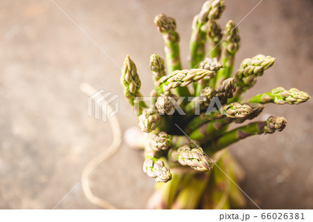 Bunch of fresh green asparagus 66026381