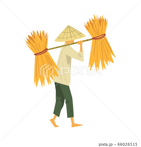 Asian Farmer in Straw Conical Hat Carrying Long Pole with Yields Rice Harvest on his Shoulders Cartoon Style Vector Illustration 66026515