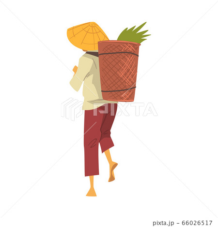 Asian Farmer in Straw Conical Hat Carrying Wicker Basket with Crop, Cartoon Style Vector Illustration on White Background Asian Farmer in Straw Conical Hat Carrying Wicker Basket with Crop, Cartoon Style Vector Illustration on White Background 66026517