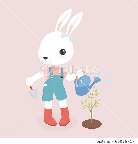 Happy rabbit cartoon character. Happy rabbit cartoon character. 66026717